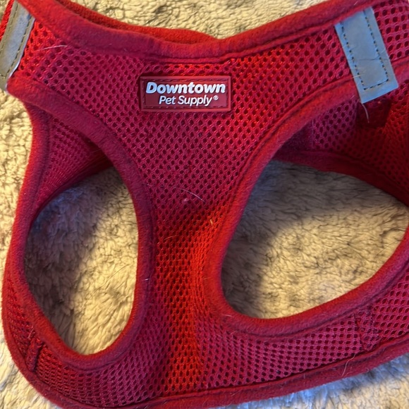 Dog Harness, Leash Size S/M - Picture 1 of 5